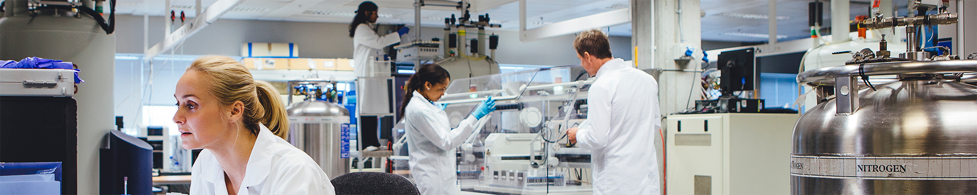 Custom Foam for medical